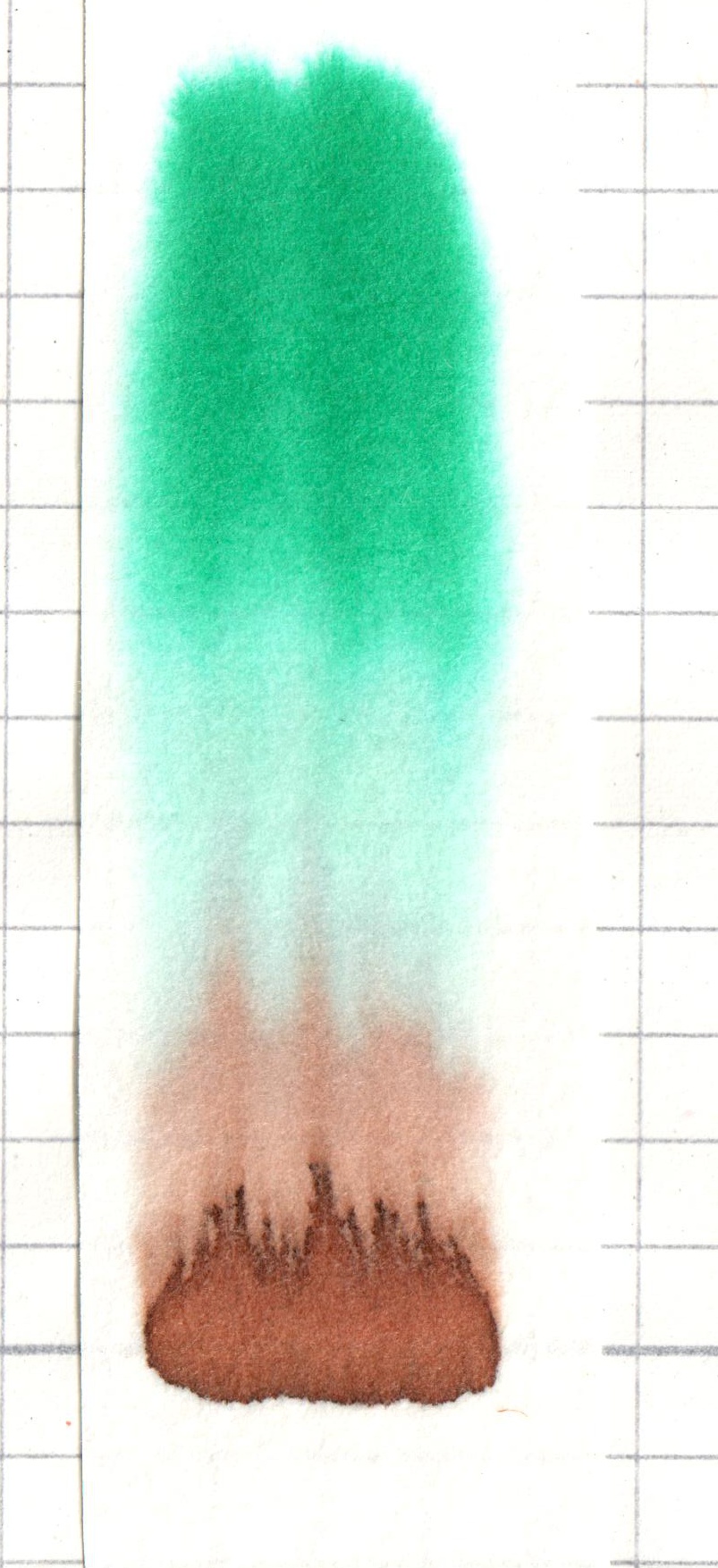 Chromatogramm mit Fließmittel 1-Butanol/Eisessig/Wasser 3:1:1