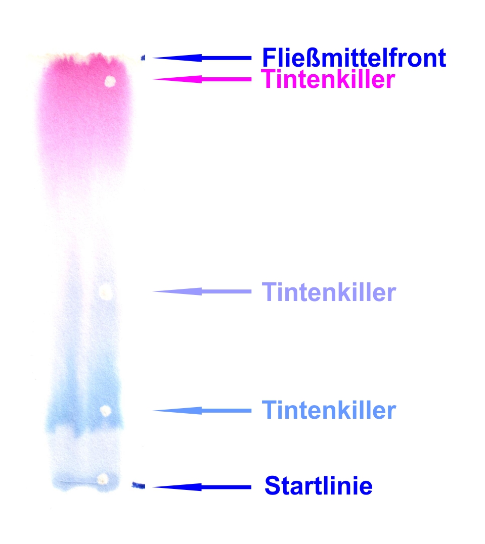 Pelikan 4001 Violett, Fließmittel: Wasser