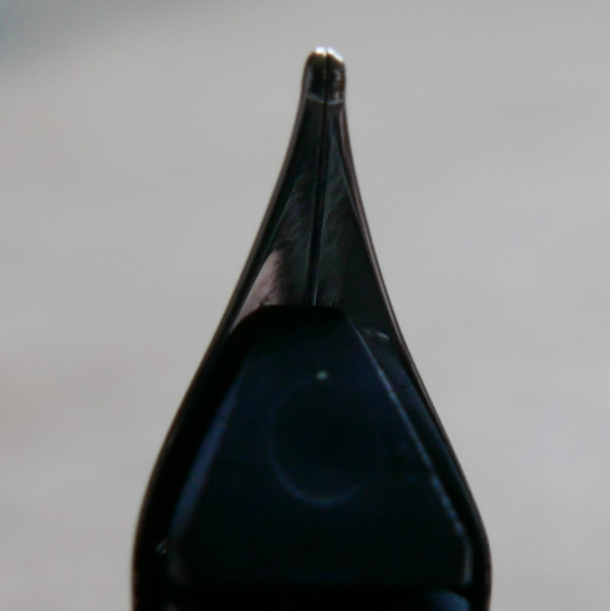 P1000240.jpg