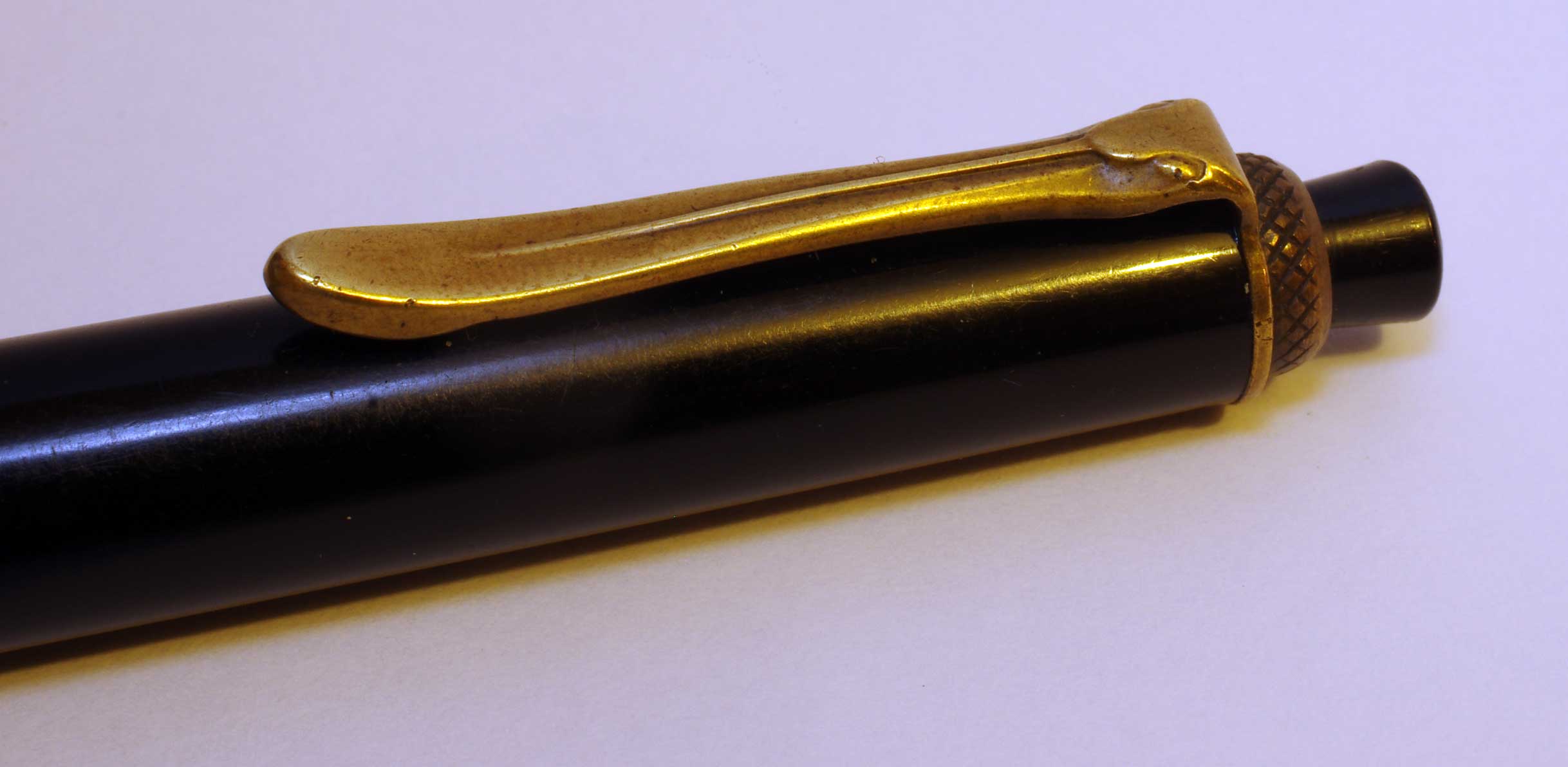 Pelikan04.jpg