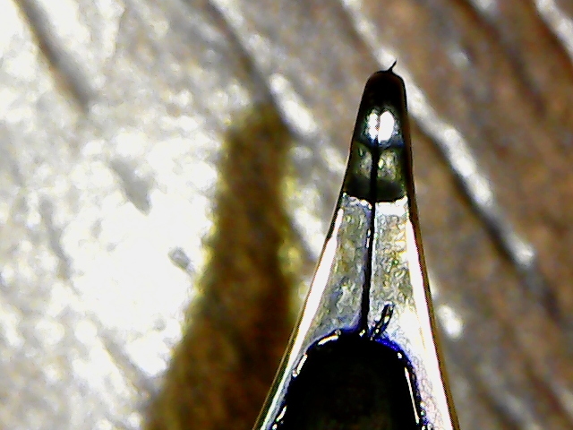 S20180620_0001.jpg