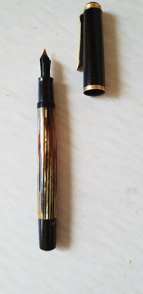 pelikan.jpg