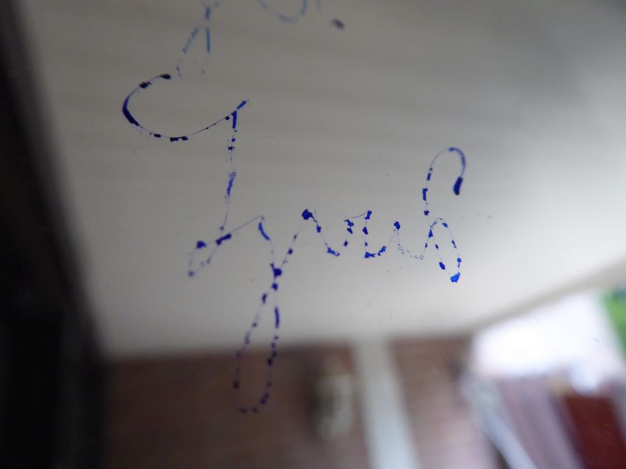 P1000267.JPG