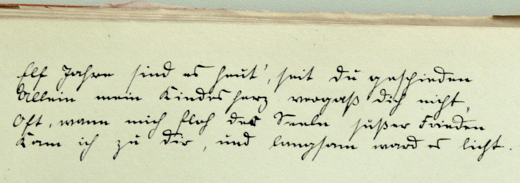 Poesiealbumeintrag 02.jpg
