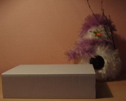 IMGP2891.JPG