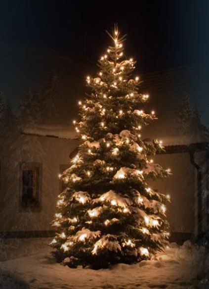 advent2009.jpg