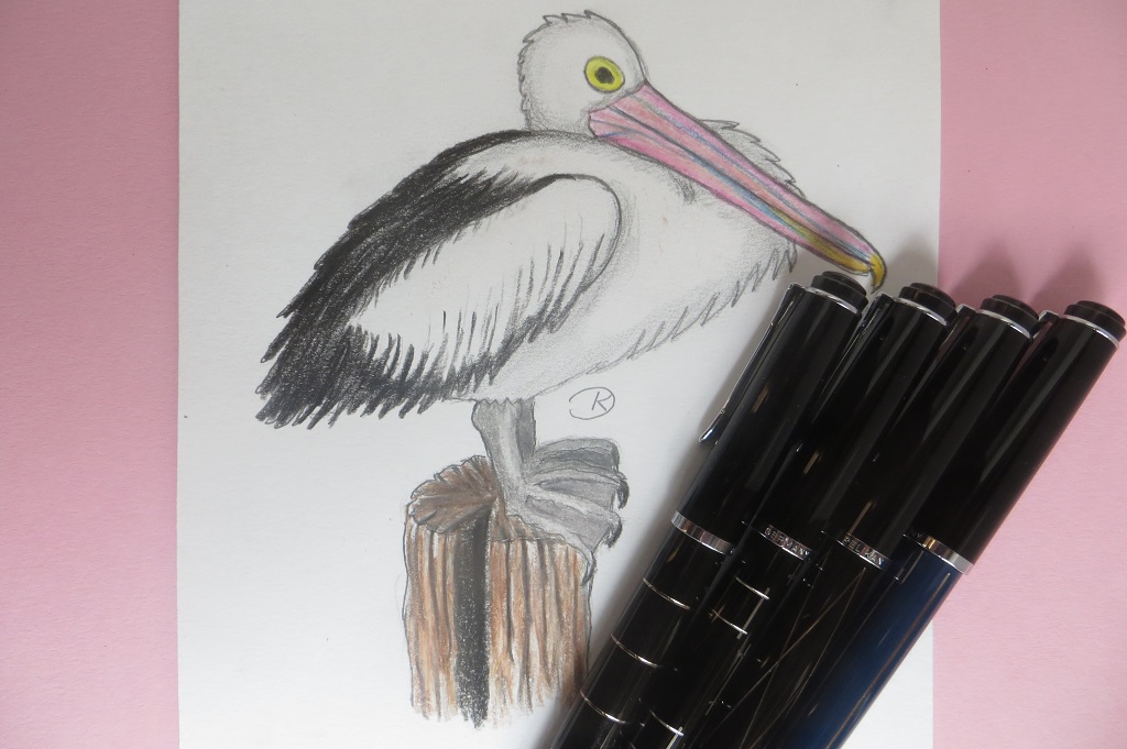 Pelikan Hub IMG_0033.JPG
