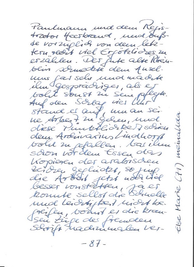 Der goldene Topf Seite 87.jpeg