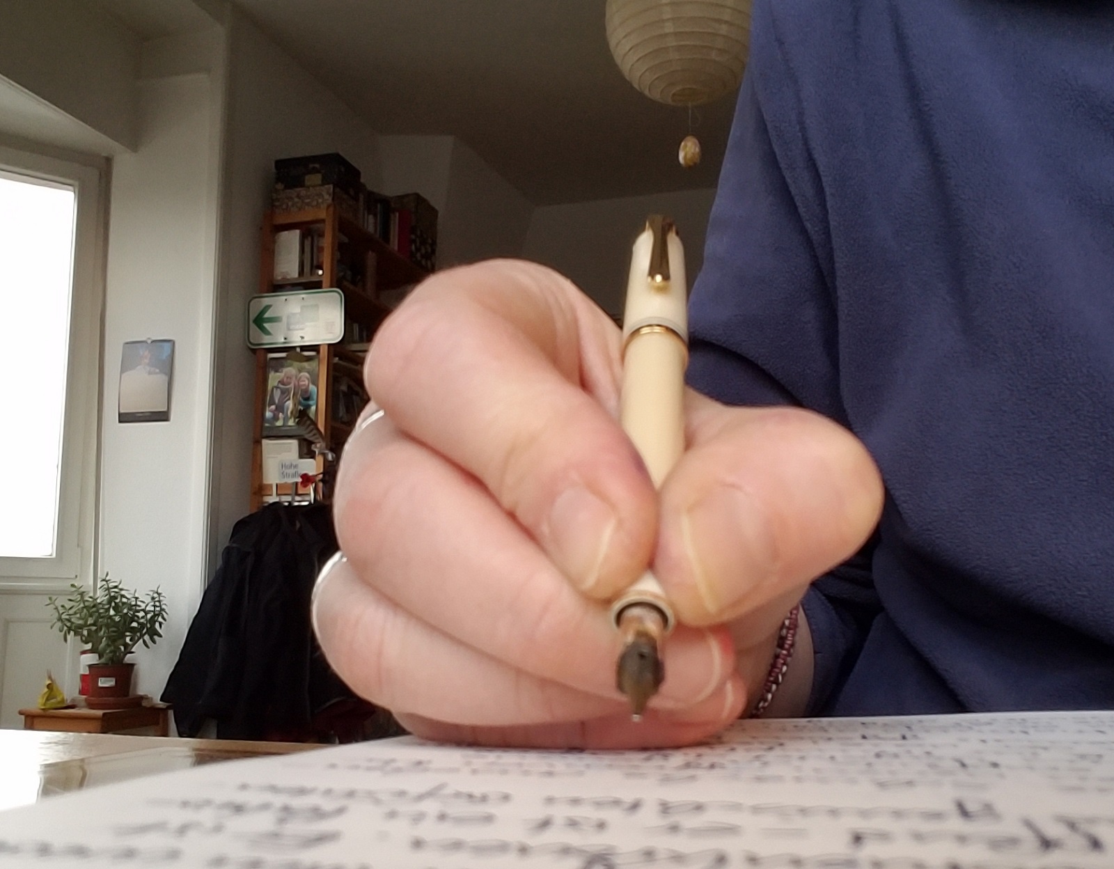 Hand Pelikan 320.jpg