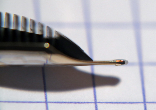 Nib2.jpg