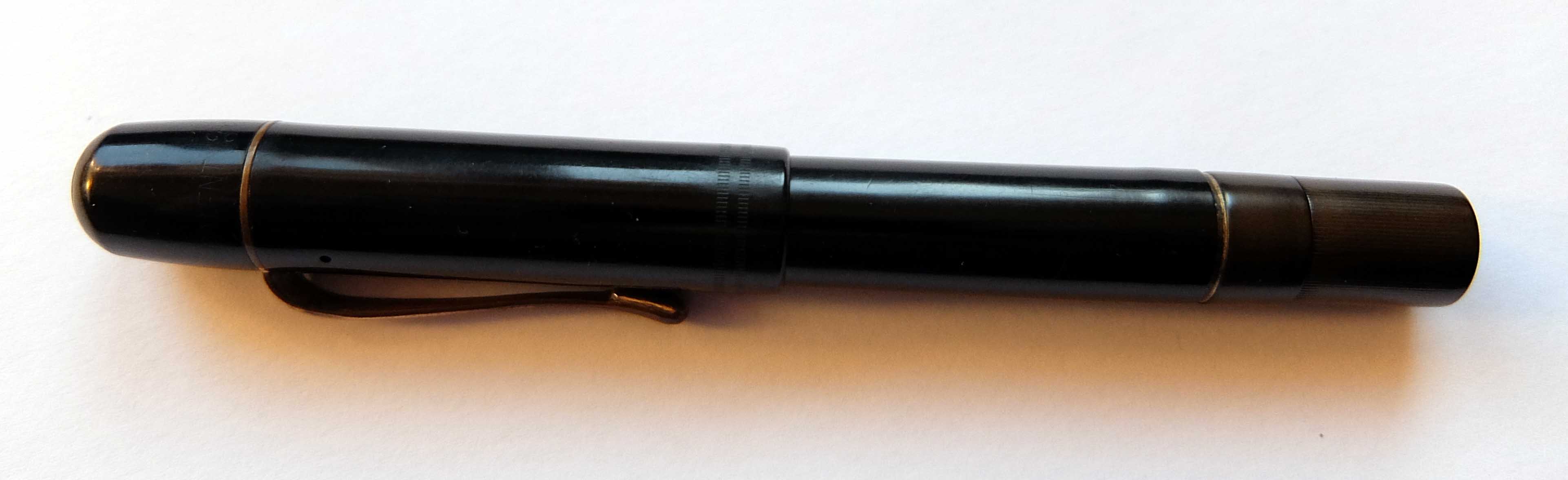 Pelikan 01.jpg