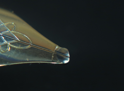 Nib2.jpg