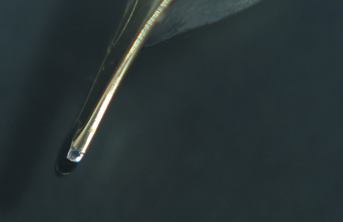 Nib4.jpg