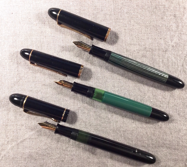 pelikan2.jpg