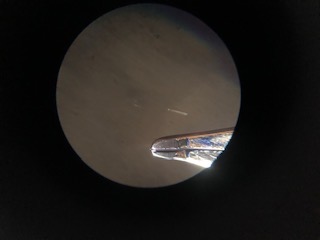 image.jpeg