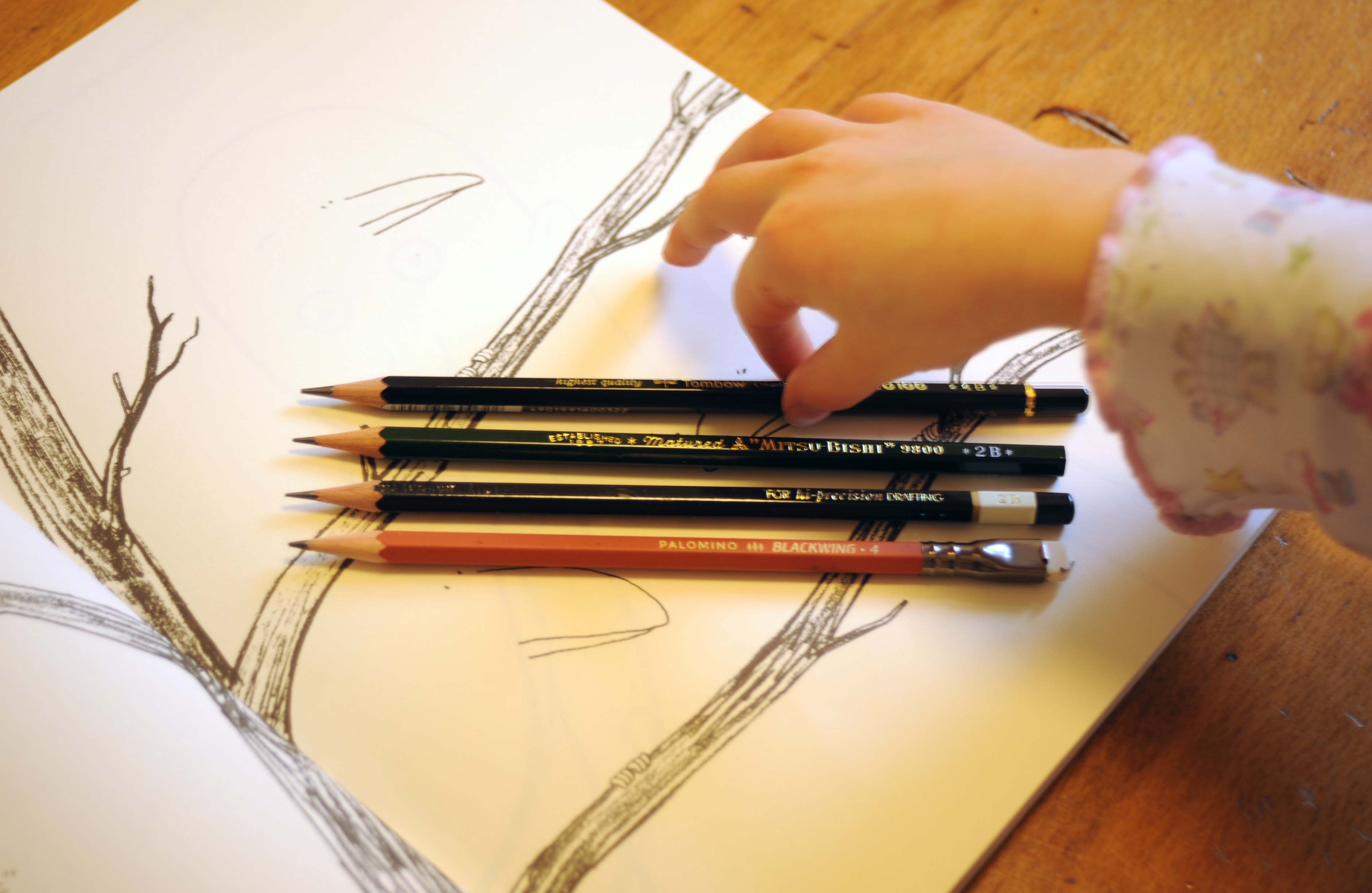 Bleistifte 1.jpg
