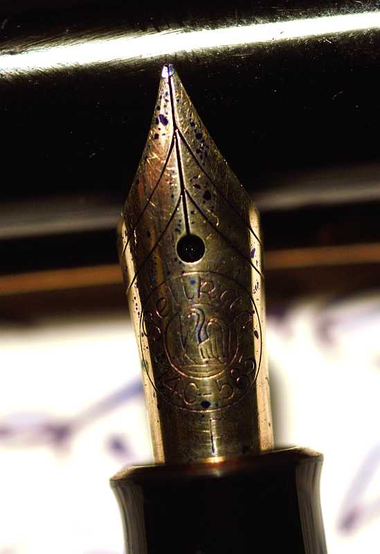 2 Pelikan140 Feder nah-8826-klein.jpg