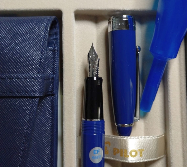 Pilot_Custom_NS_1.jpg