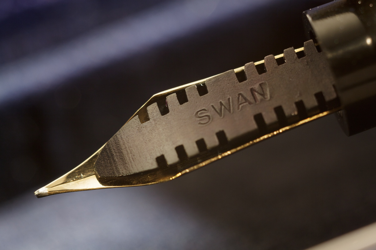 Swan_1042g.jpg