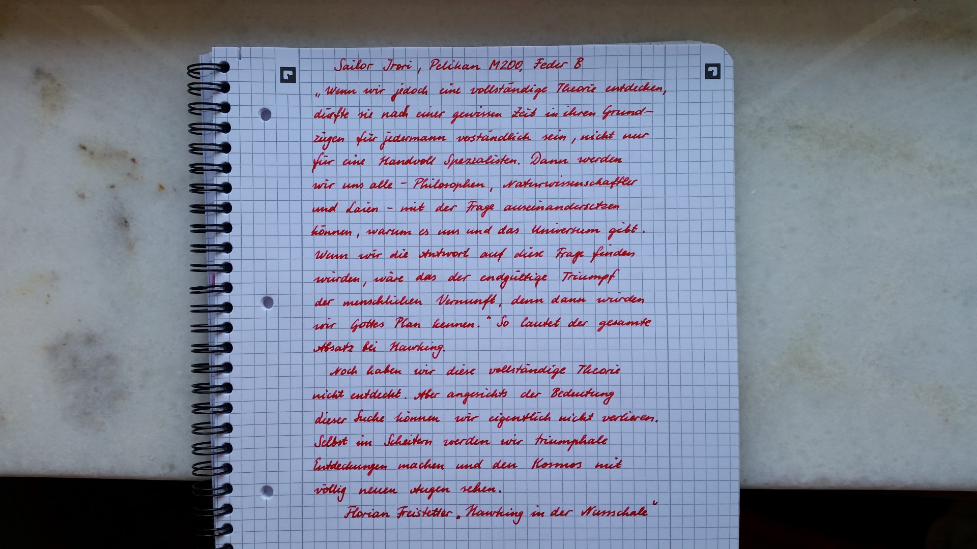 Irori Pelikan B.jpg