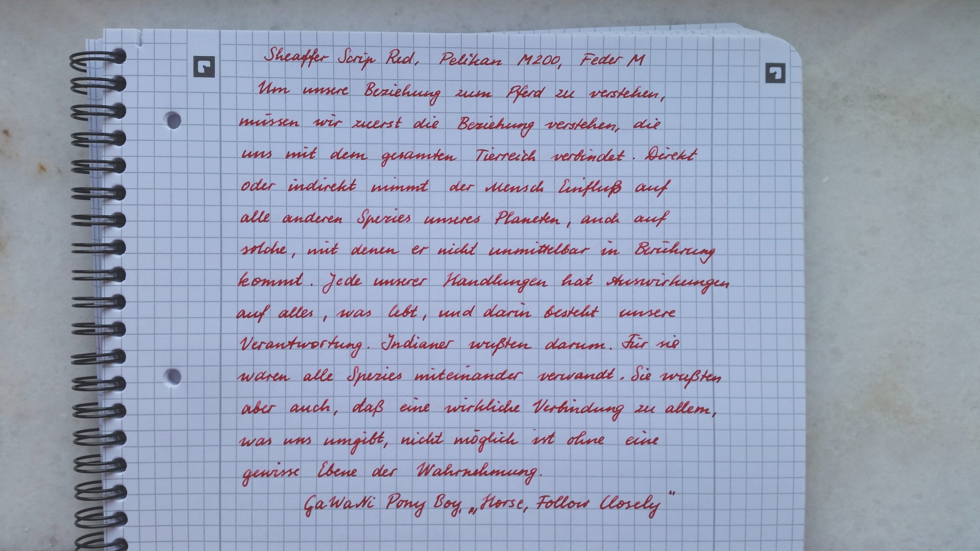 Sheaffer Pelikan M_heller.jpg