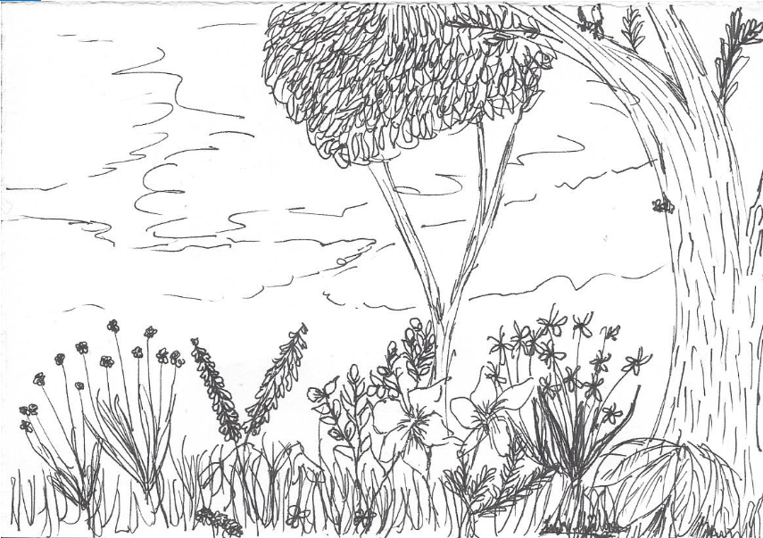 overgrown_141019.PNG