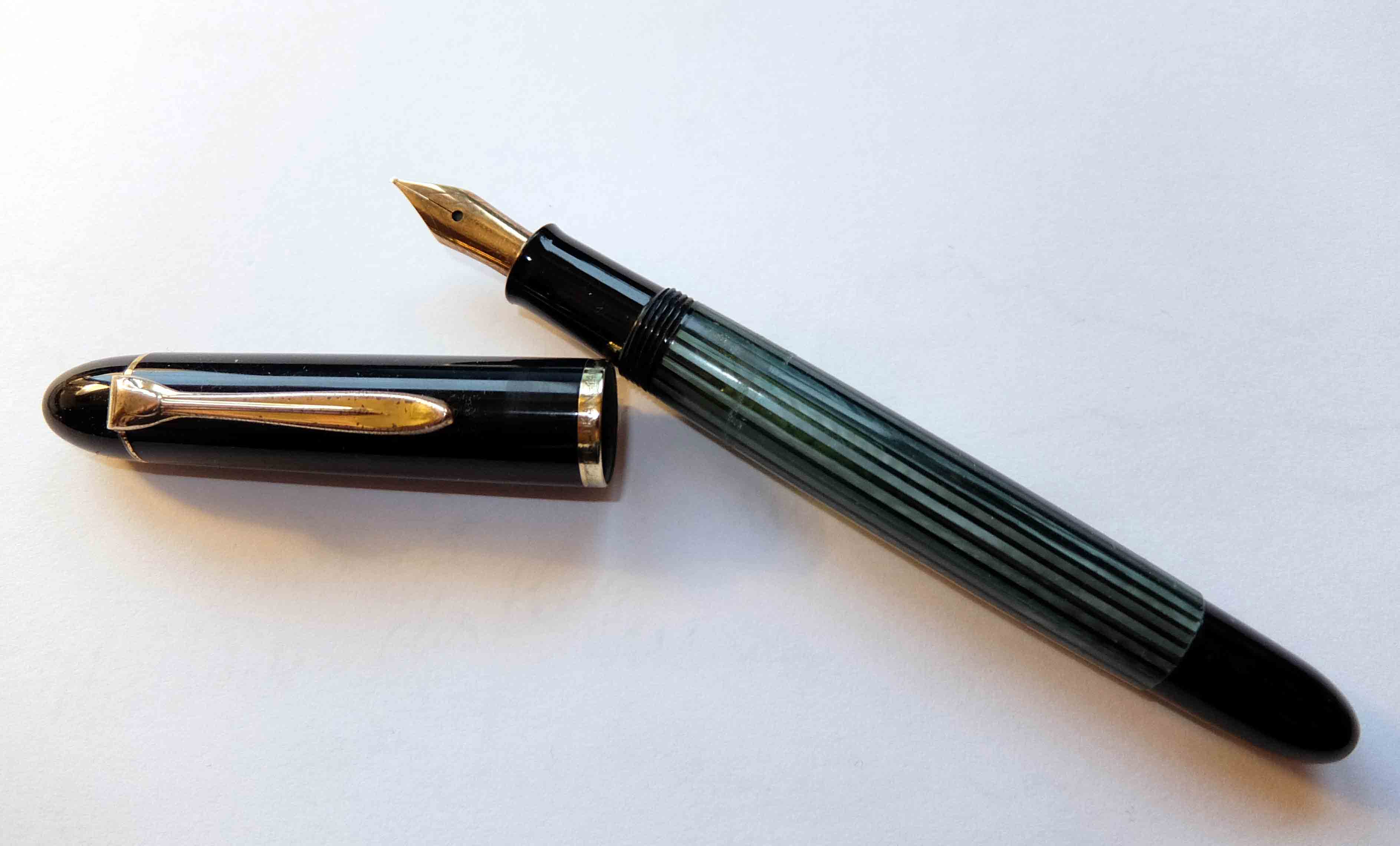 Pelikan 140 (4).jpg