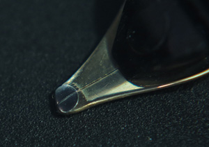 Nib11 Kopie.jpg