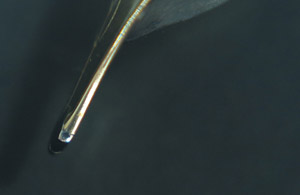 Nib41.jpg