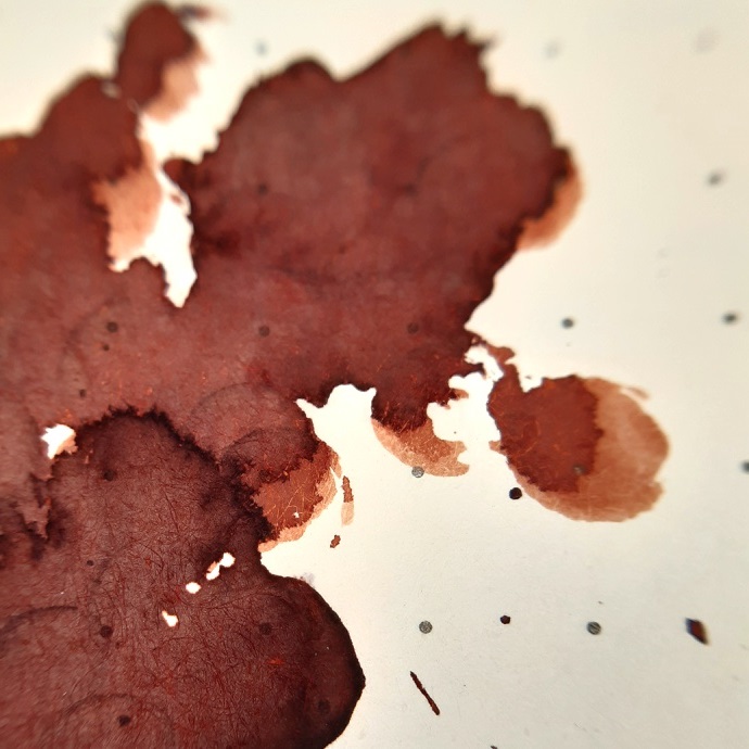 2019 12 23 Diamine Inkvent 23 Roasted Chestnut 02.jpg