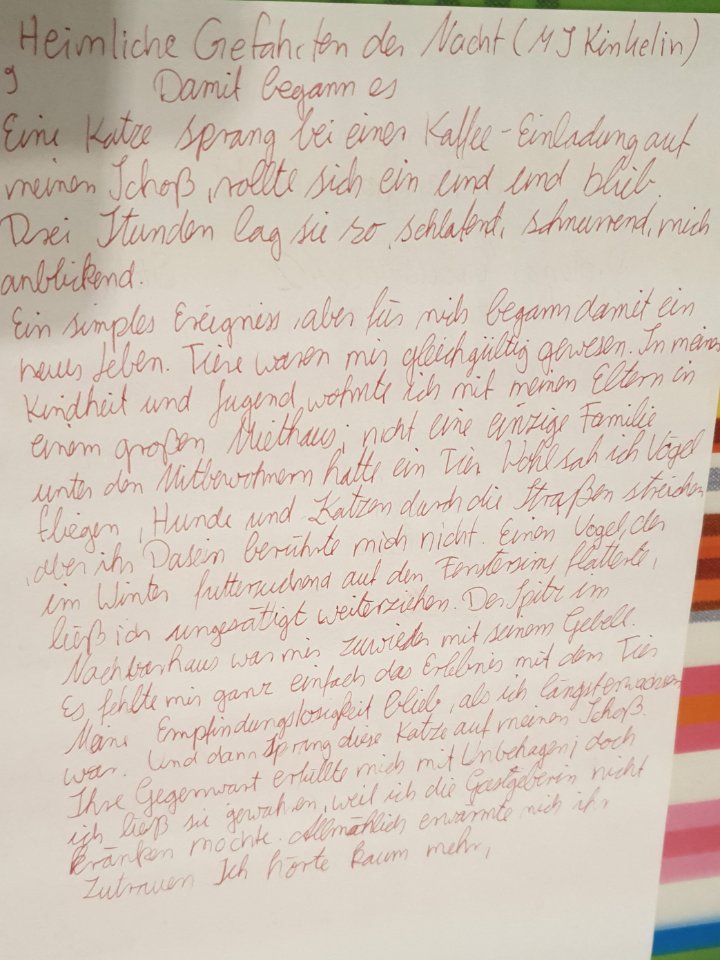 Saarpen Höllengraben Tintentest C Text.jpg