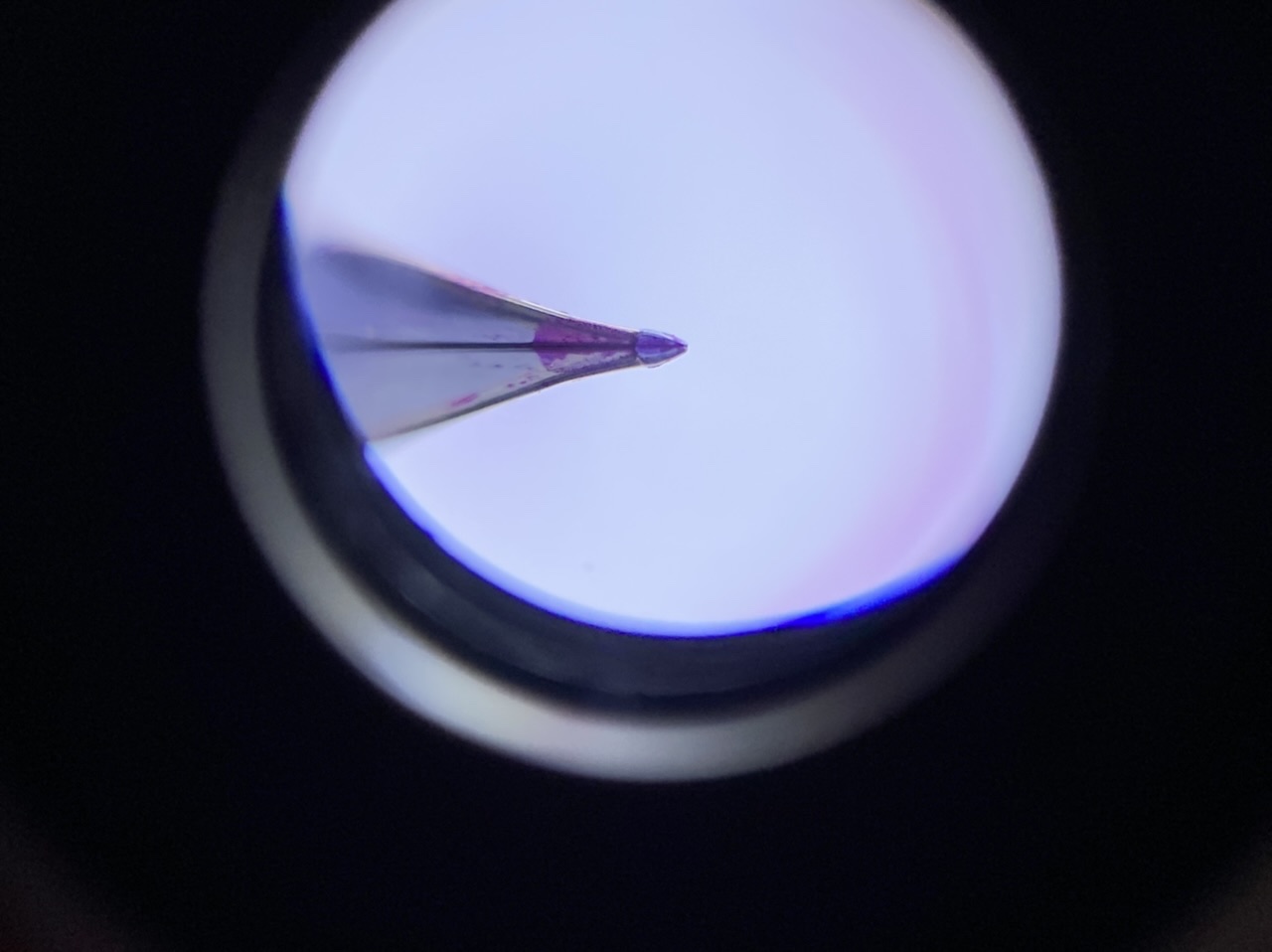 95E8800D-E5CB-4066-B145-9A0B0F5675CE.jpeg