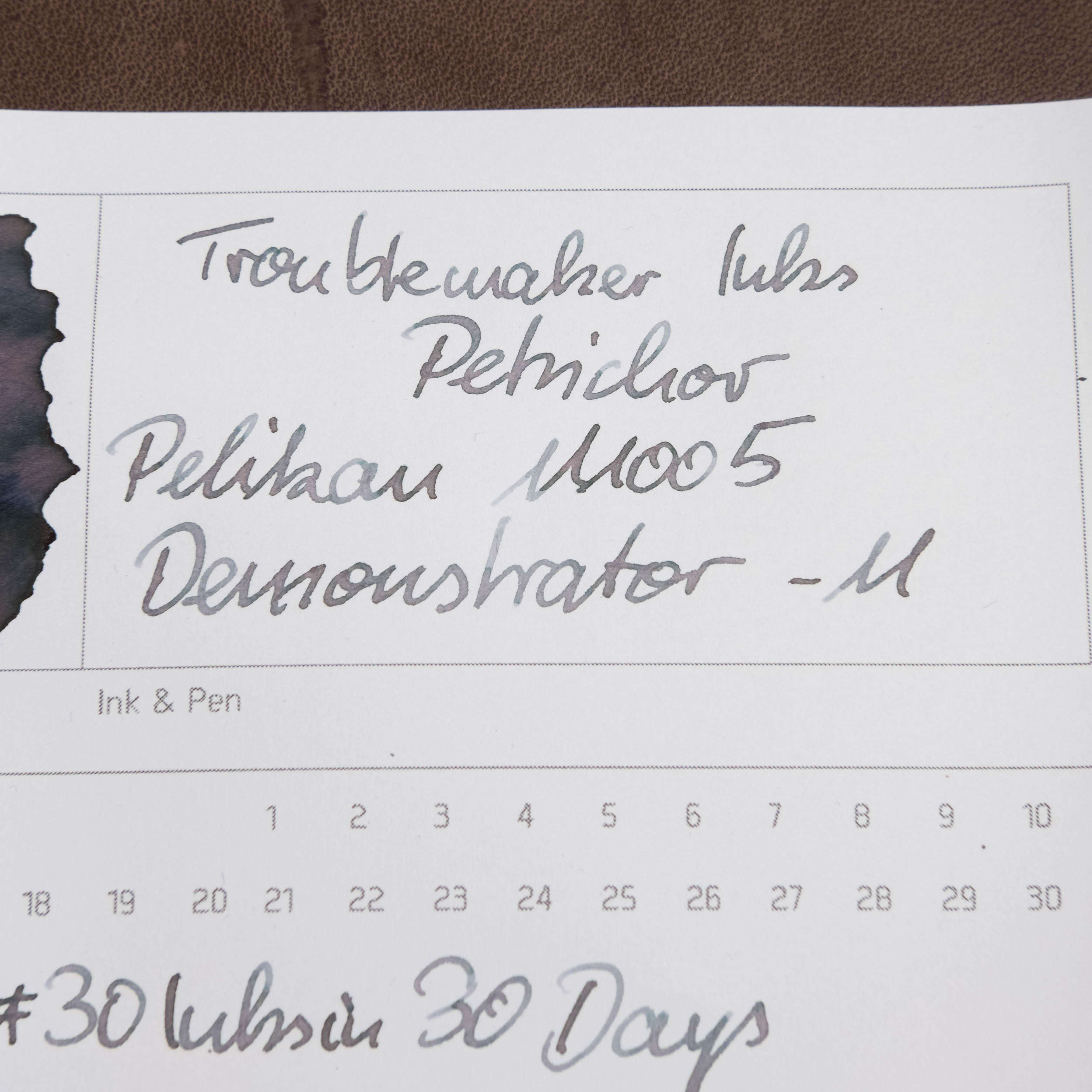 30Inksin30Days_12_2.jpg