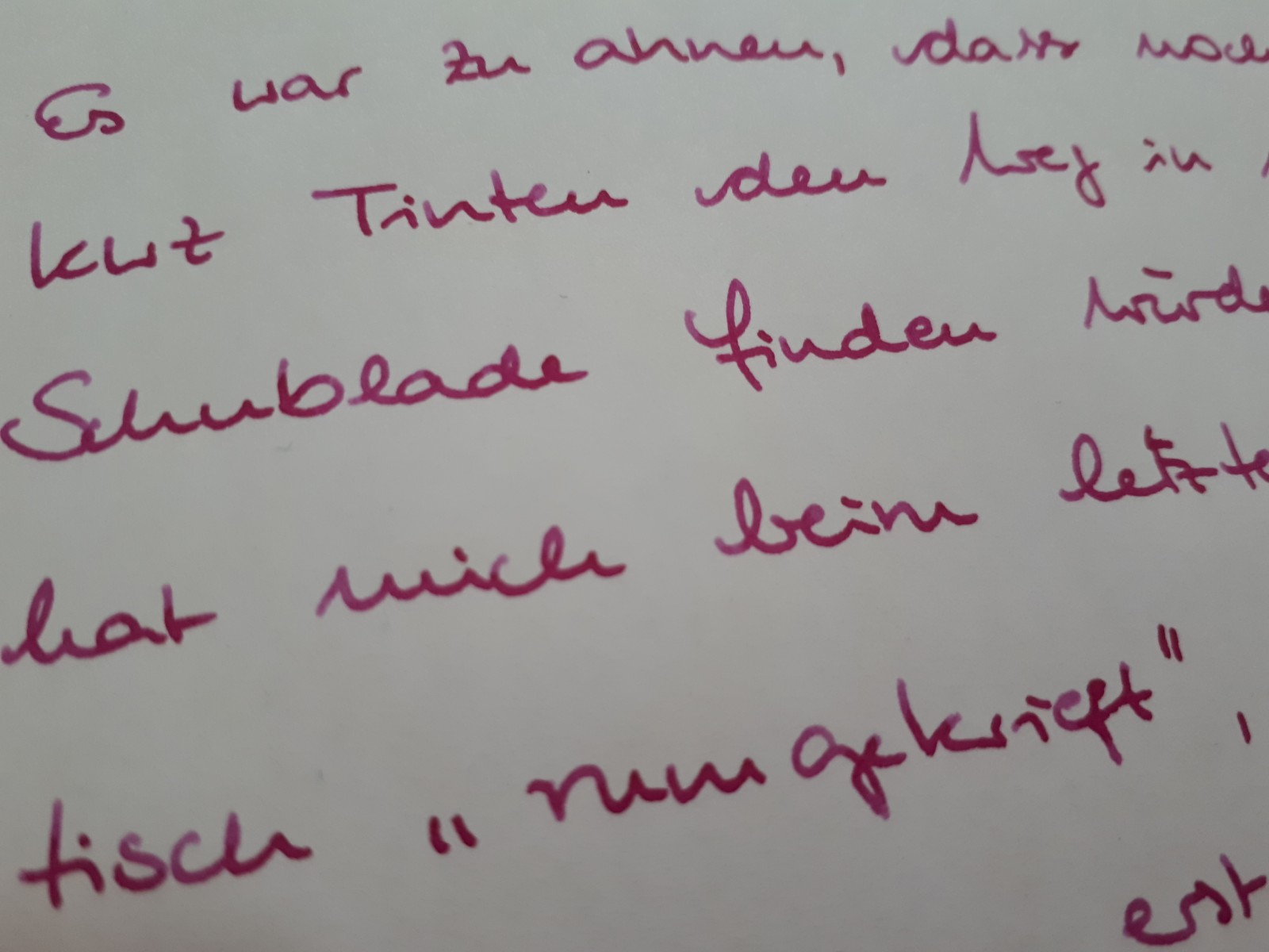 KWZ Raspberry Schrift.jpg