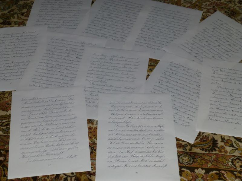 P1000397.jpg