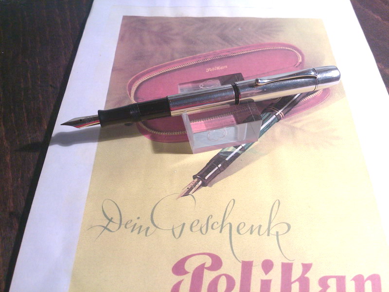 Pelikan 110.jpg