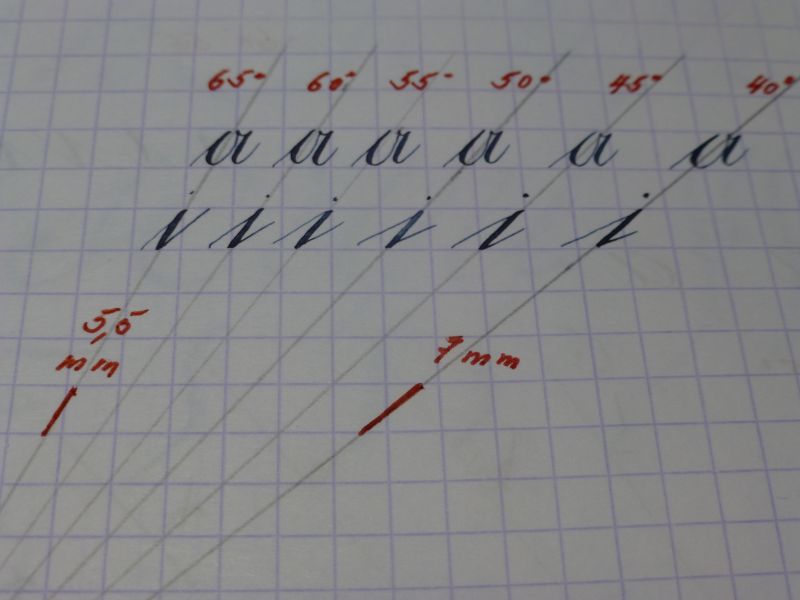 P1000429.jpg