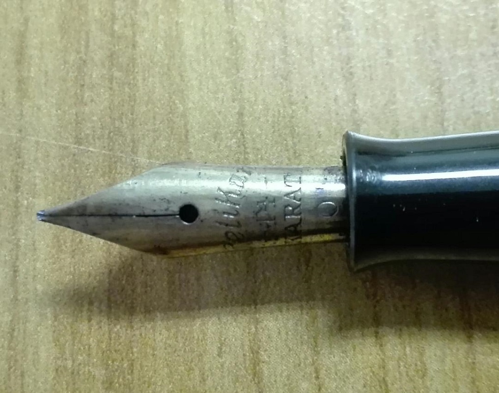 pelikan 3.jpeg
