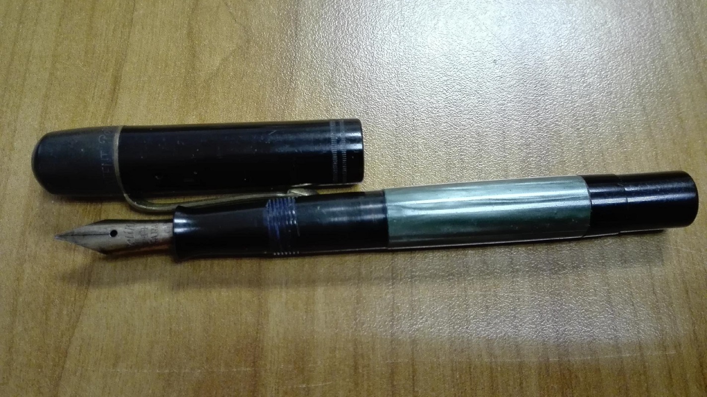 pelikan 2.jpeg