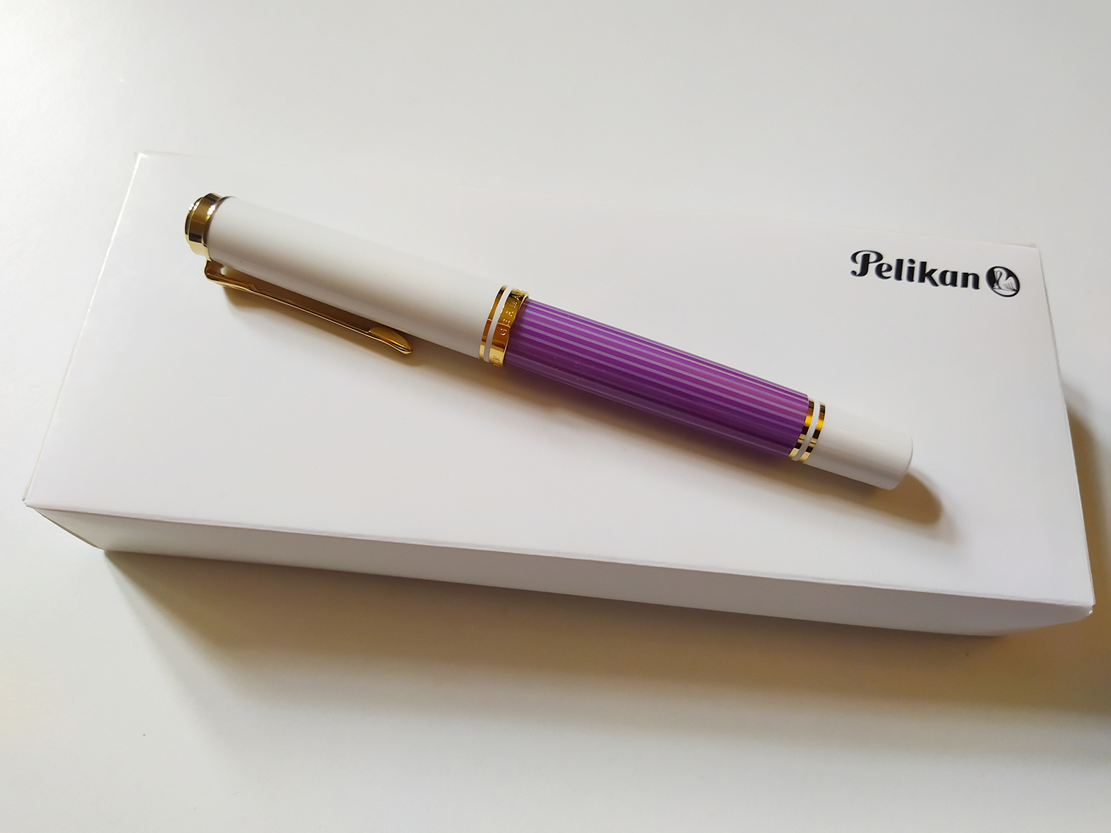 pelikanm600.jpg