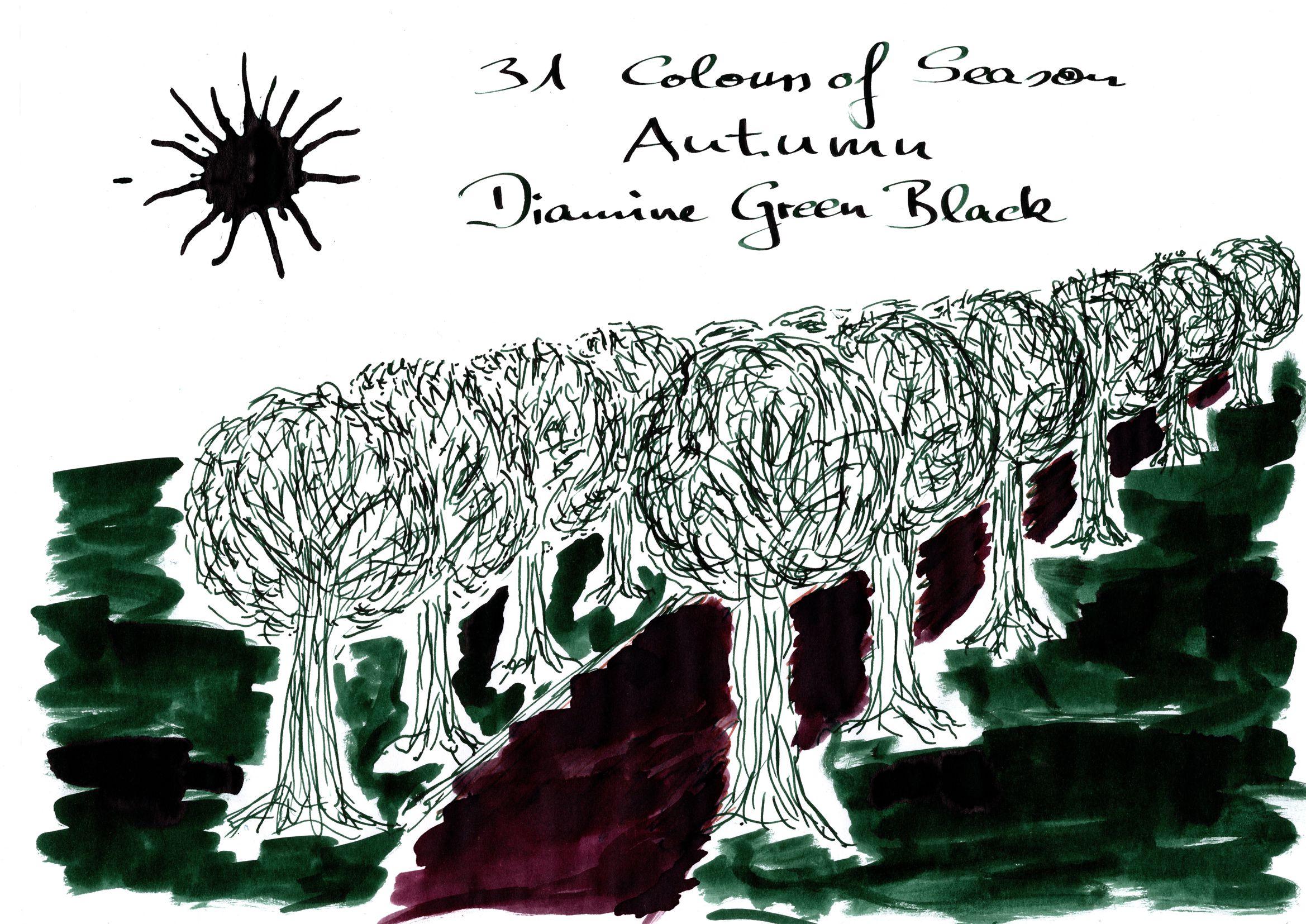 Diamine_Green-Black_PE.jpg