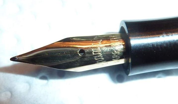 Champ Nib.jpg