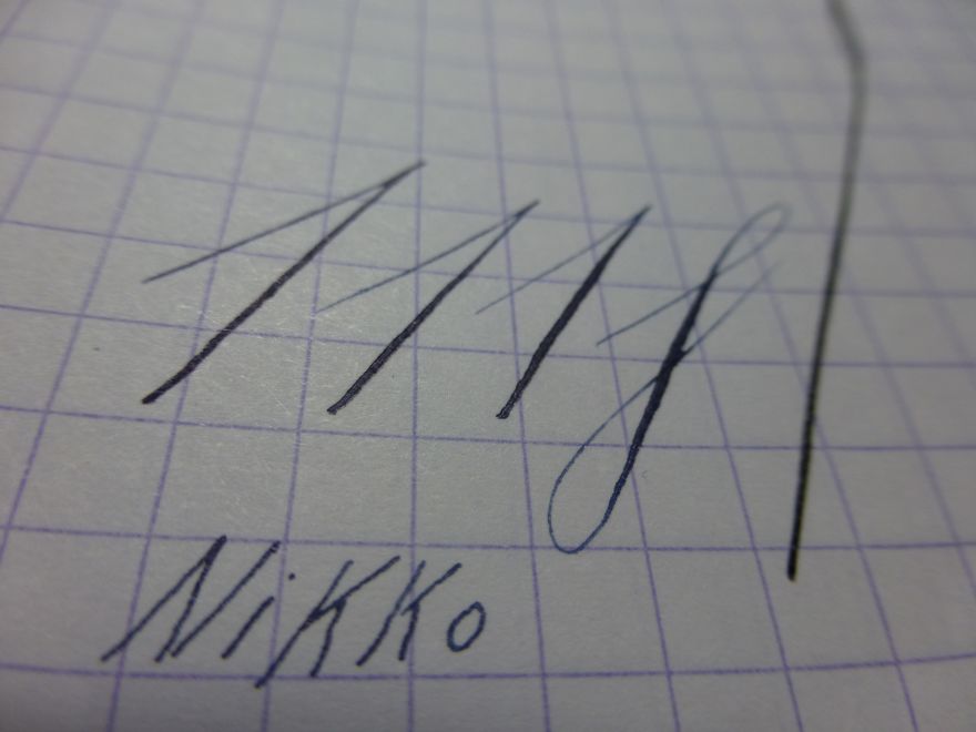 P1000685.jpg