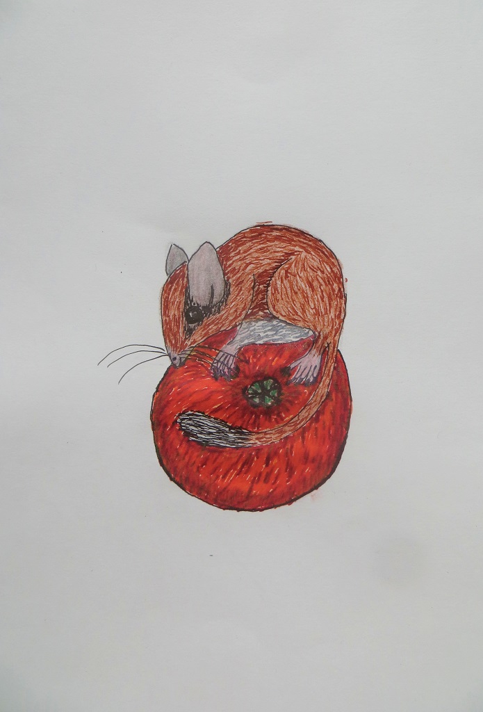 06.10.2020 Inktober RODENT IMG_0031.jpg