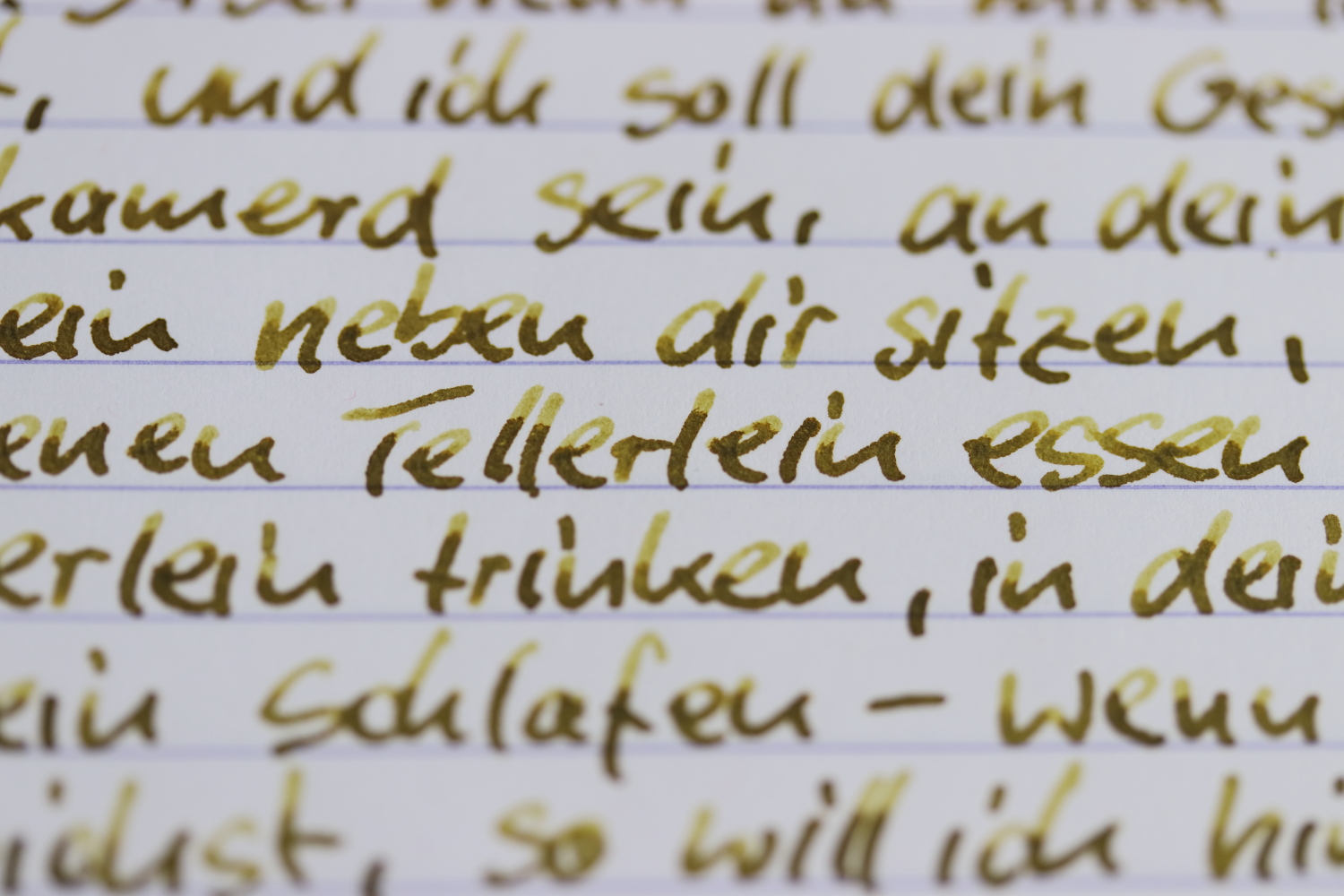 09.6 Seitz-Kreuznach Tundragrün.JPG