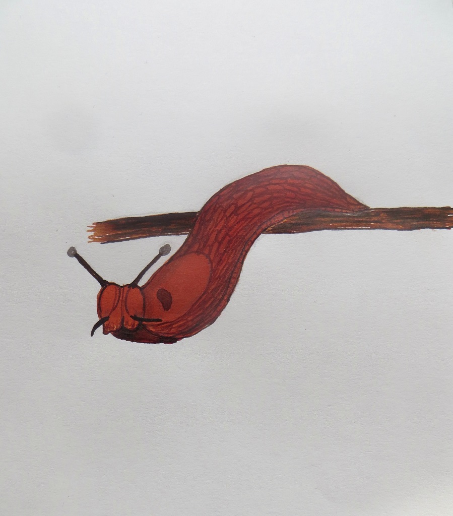 12.10.2020 Inktober SLIPPERY IMG_0082.jpg