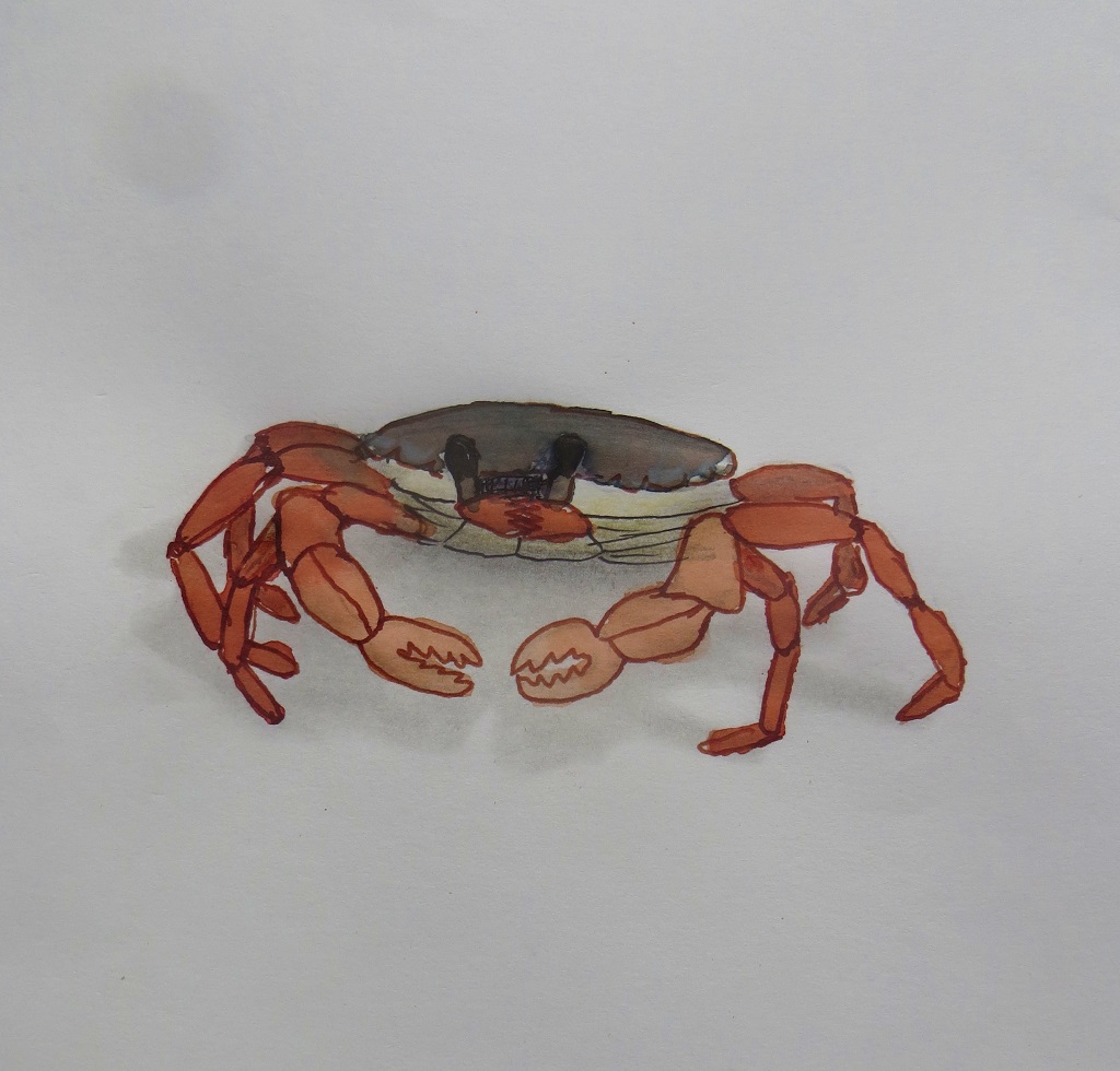 14.10.2020 ARMOR IMG_0101.jpg