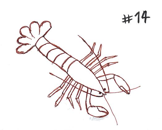 #14.jpeg