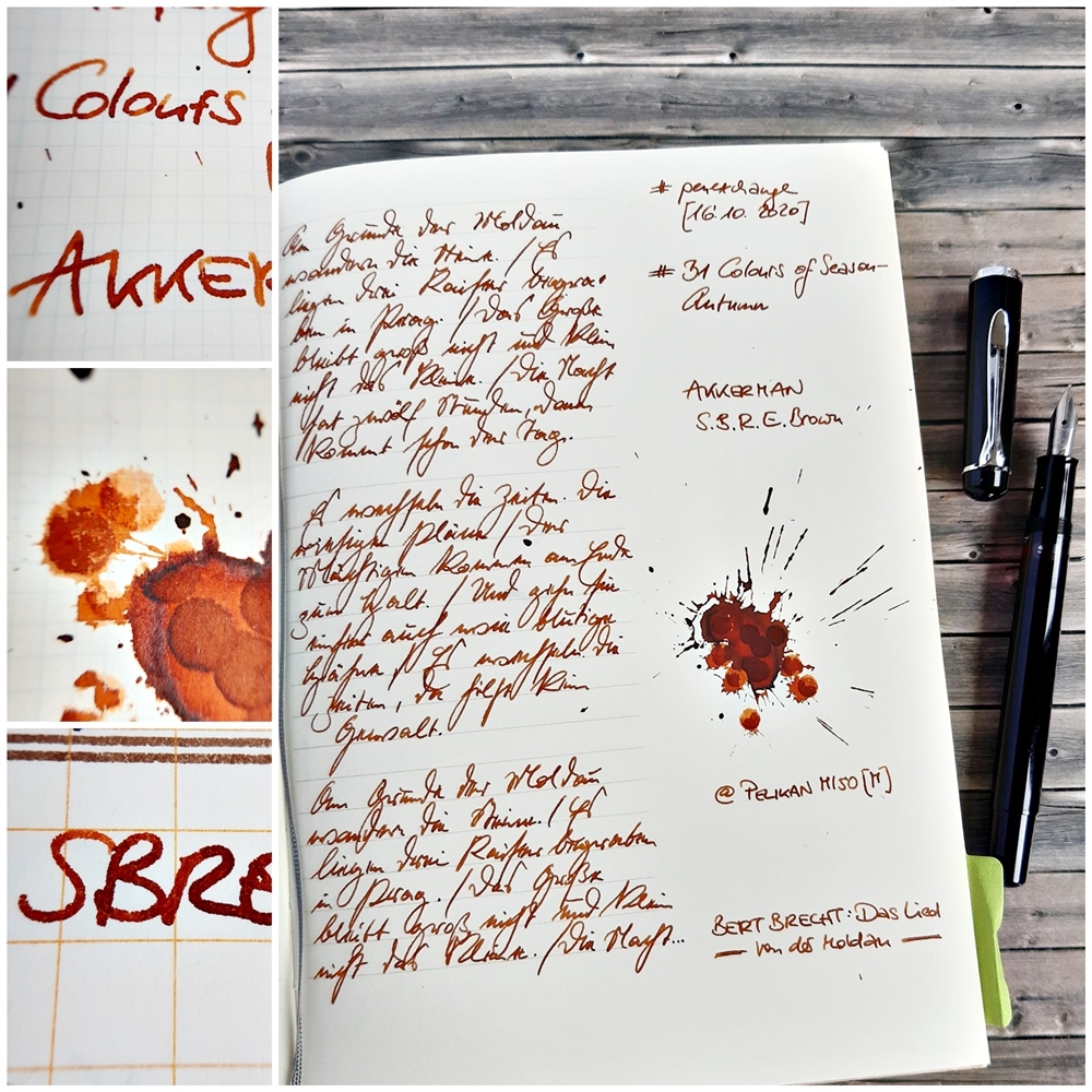 2020 10 16 31cos-a Akkerman SBRE Brown 3 PX.jpg
