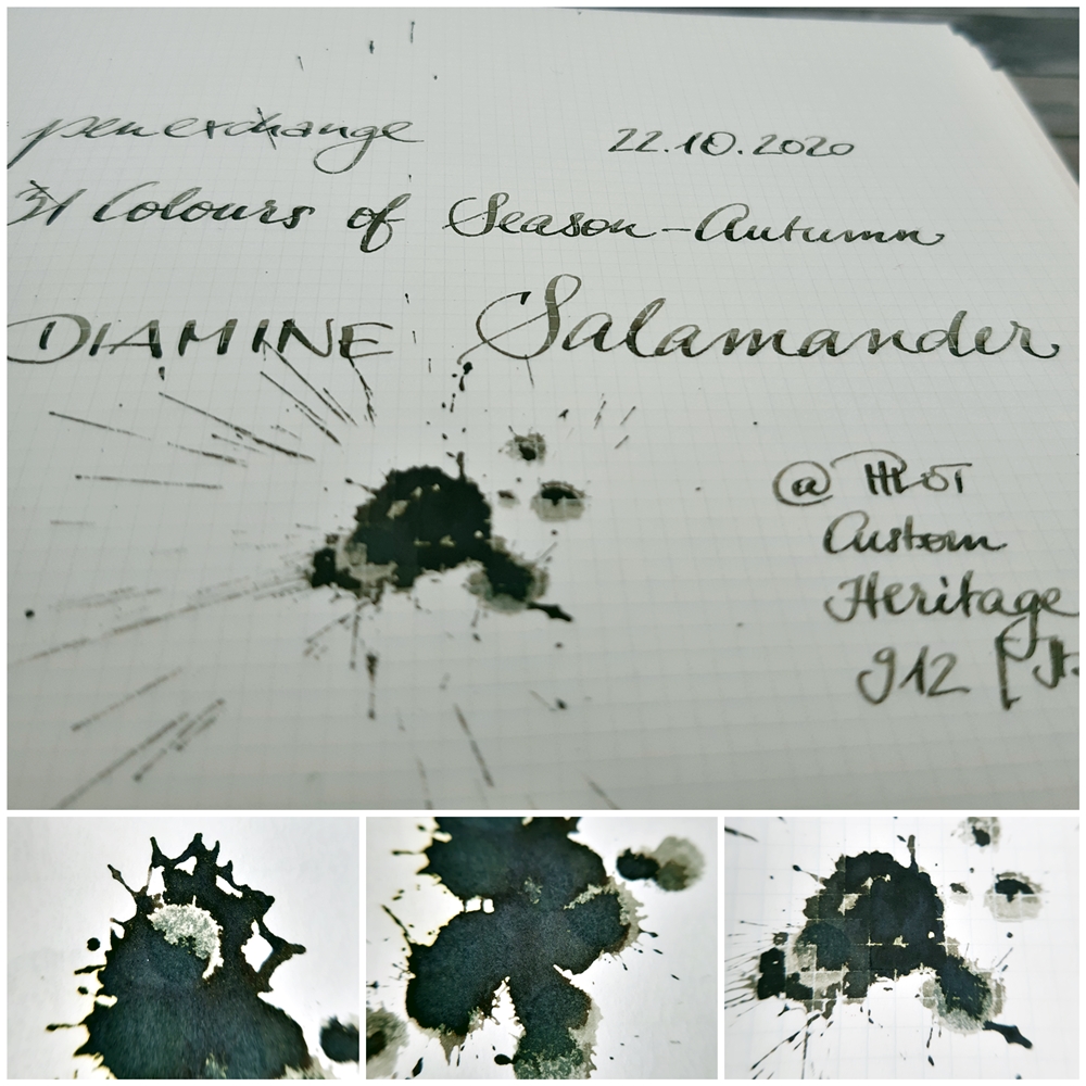 2020 10 22 31cos-a Diamine Salamander 1 PX.jpg